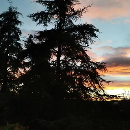 펜션 Casa Con En Pol, 몬포르테데레모스